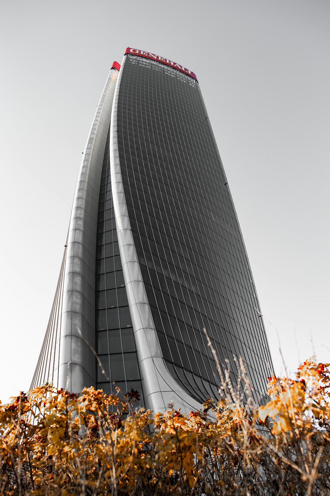 Luxury Contemporary Villa